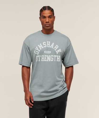 Gymshark 2012 Strength T-Shirt - Denim Grey