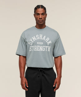 Gymshark 2012 Strength T-Shirt - Denim Grey