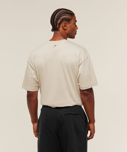 Gymshark 2012 Strength T-Shirt - Pebble Grey