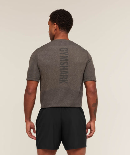 Gymshark Lightweight Seamless T-Shirt - Archive Brown/Cement Brown