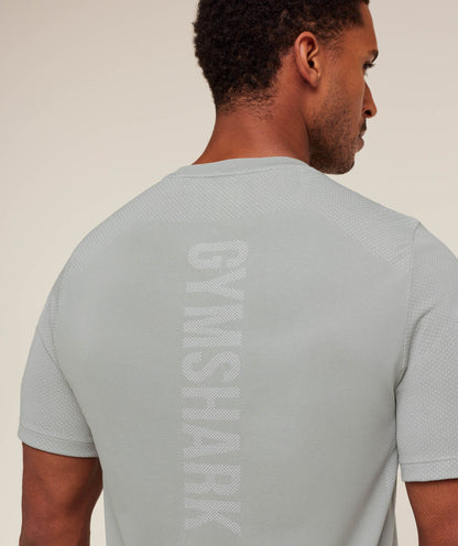 Gymshark Lightweight Seamless T-Shirt - Denim Grey/Light Grey