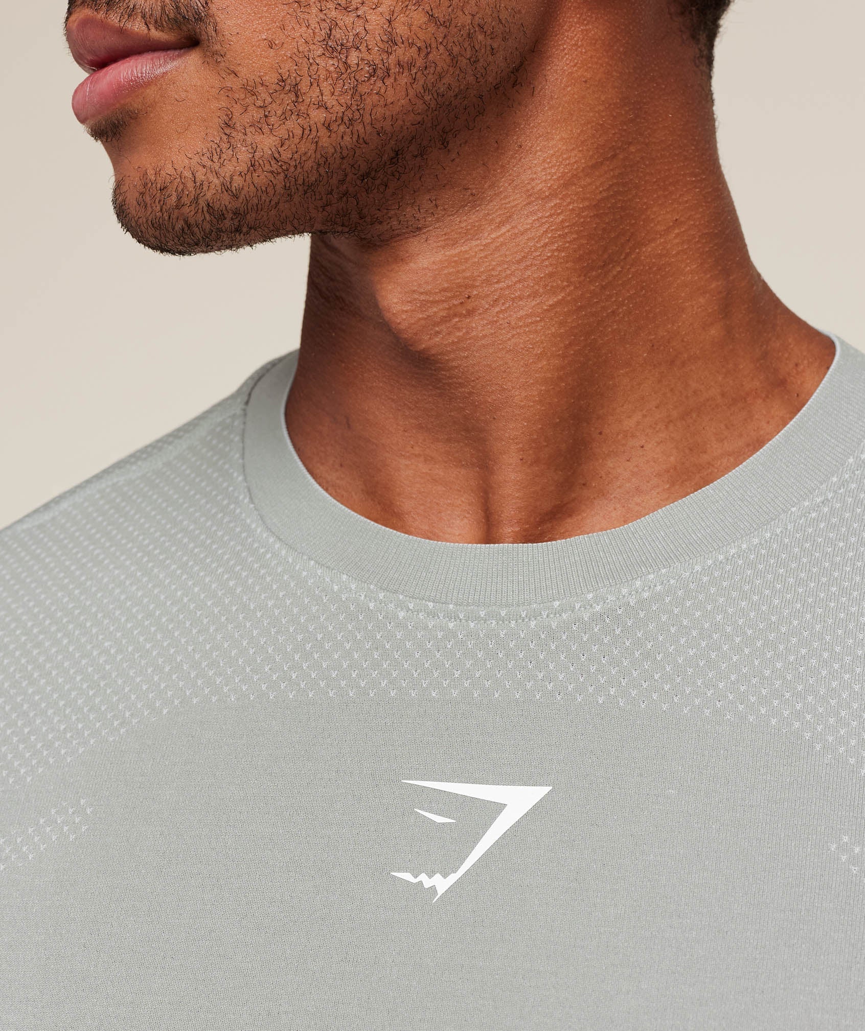 Gymshark Lightweight Seamless T-Shirt - Denim Grey/Light Grey