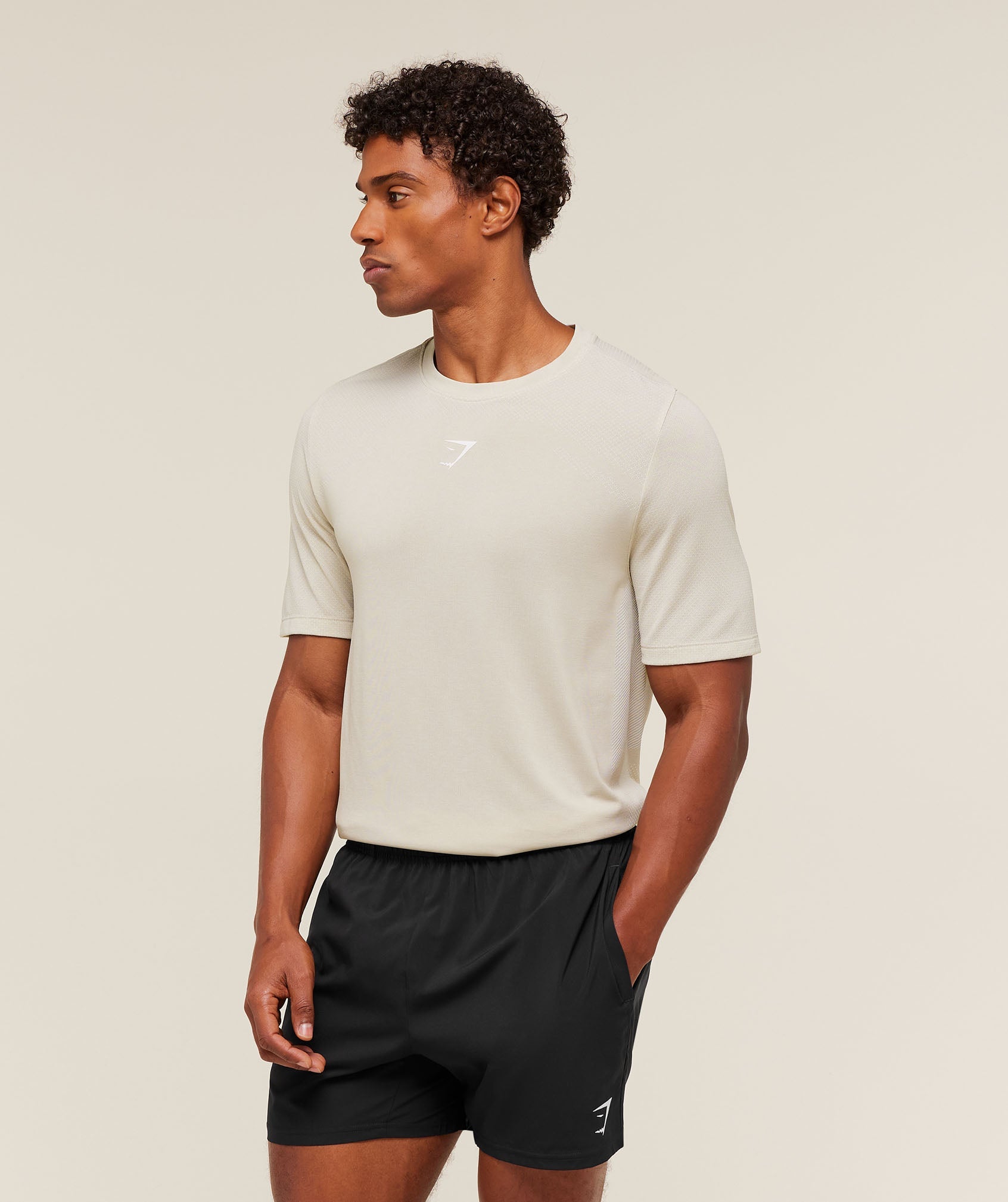 Gymshark Lightweight Seamless T-Shirt - Pebble Grey/White