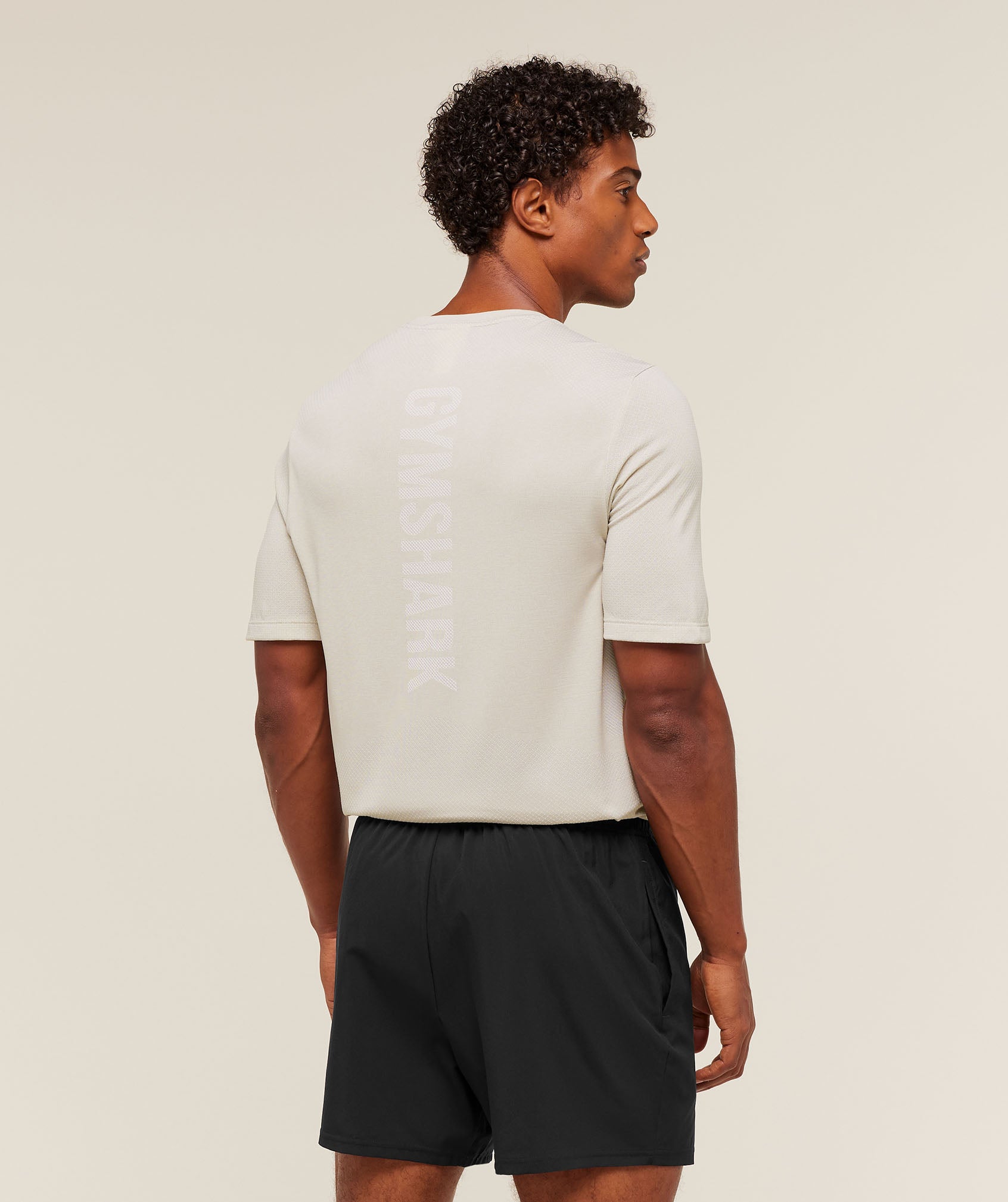 Gymshark Lightweight Seamless T-Shirt - Pebble Grey/White