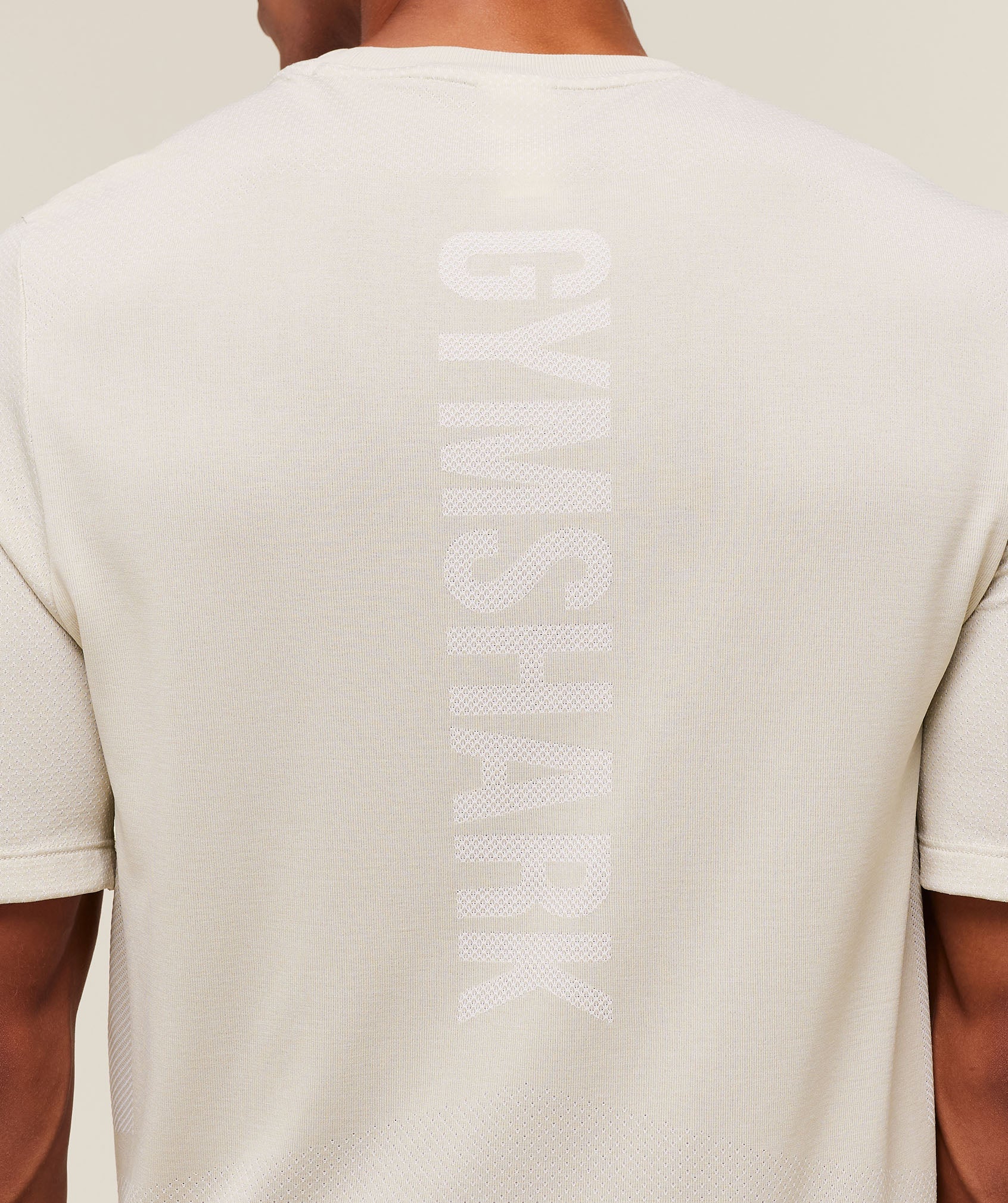 Gymshark Lightweight Seamless T-Shirt - Pebble Grey/White