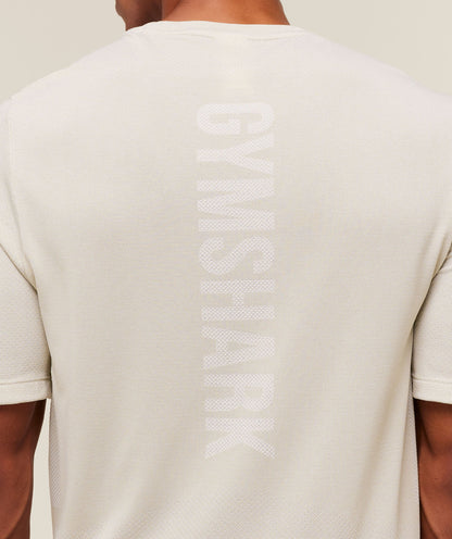 Gymshark Lightweight Seamless T-Shirt - Pebble Grey/White