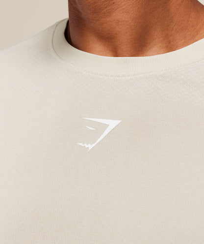 Gymshark Lightweight Seamless T-Shirt - Pebble Grey/White