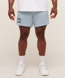 Gymshark Lifting Mesh 5