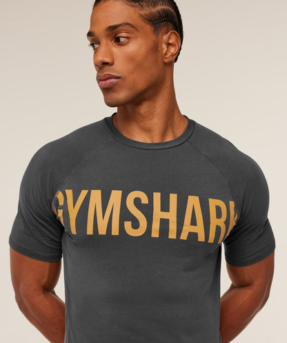 Gymshark Prime T-Shirt - Onyx Grey/Antique Gold