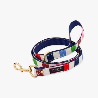 Adventure Stripe Leash S/M
