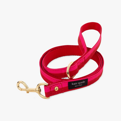 Colorblock Leash S/m