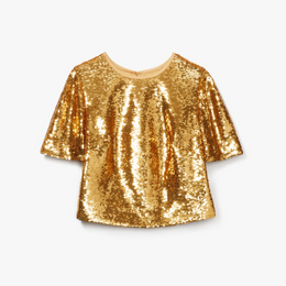 Sequin Top