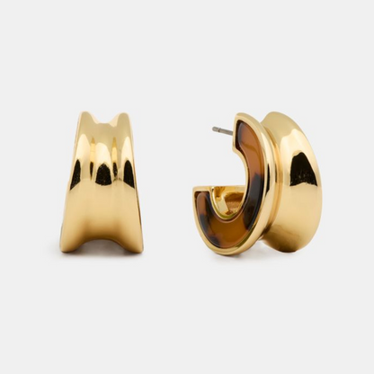 Bold Small Hoops