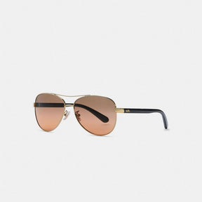 Horse And Carriage Pilot Sunglasses