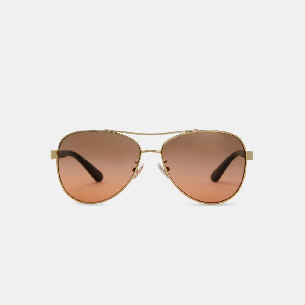 Horse And Carriage Pilot Sunglasses