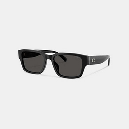 Maxi Sculpted C Narrow Square Sunglasses
