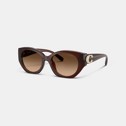 Maxi Sculpted C Oval Sunglasses