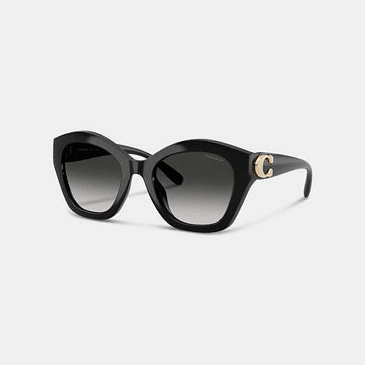 Maxi Sculpted C Oversized Geometric Sunglasses