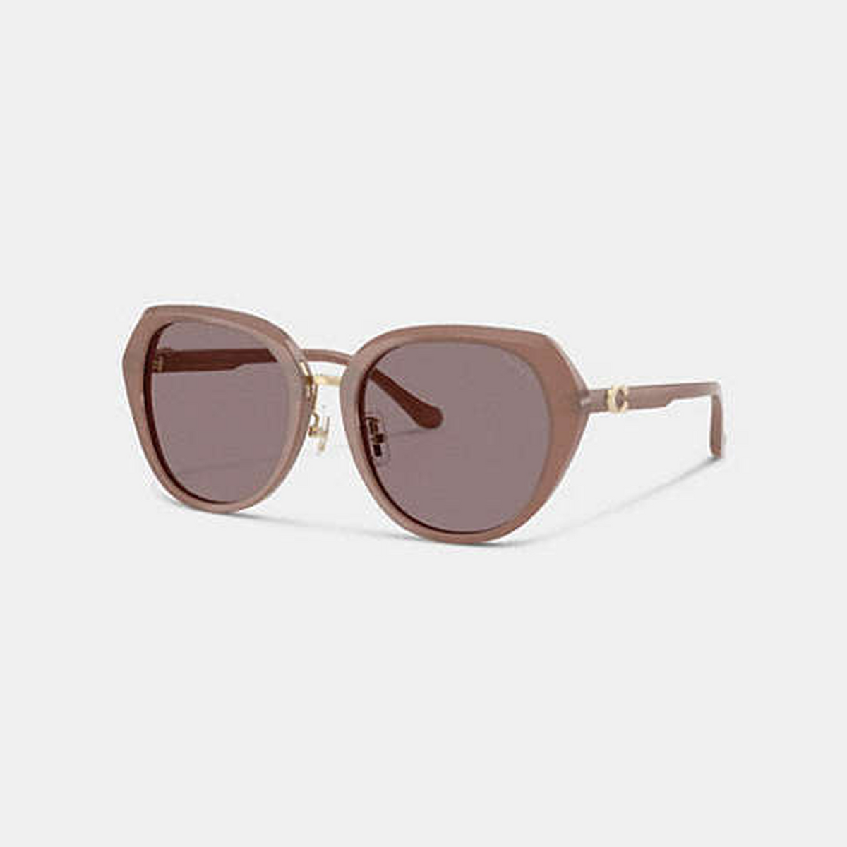 Maxi Sculpted C Oversized Round Sunglasses