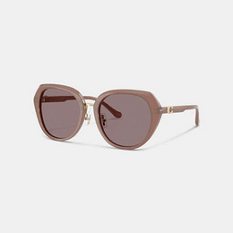 Maxi Sculpted C Oversized Round Sunglasses
