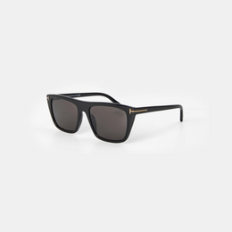 Metal Accent Wayfarer Sunglasses