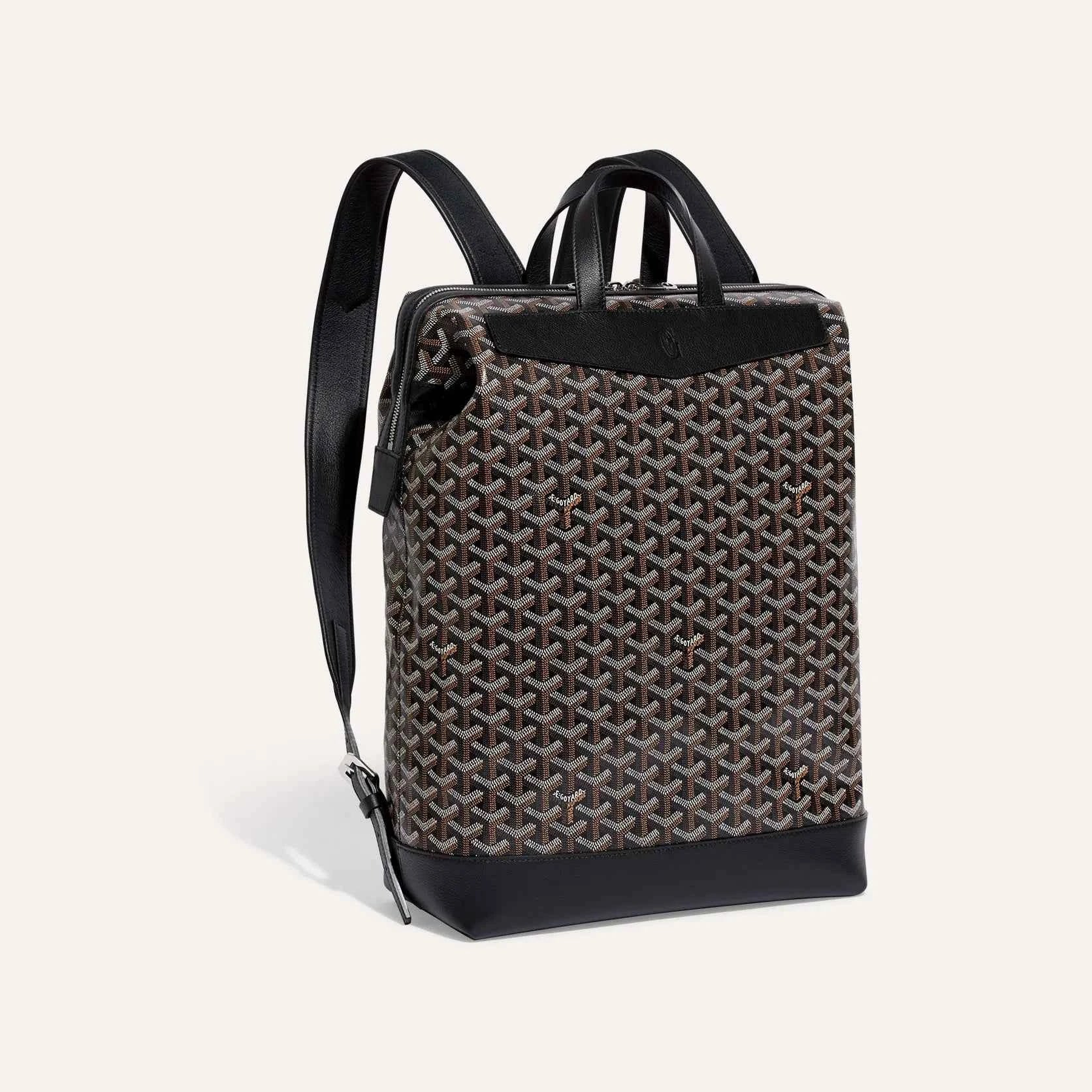 Cisalpin Backpack