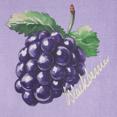 Purple Short Sleeve Blackberry Print T-shirt