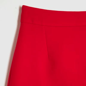 Red A Line Mini Skirt