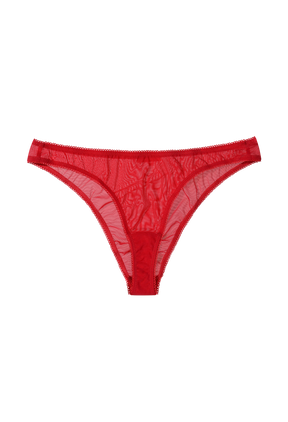 Moss Brief