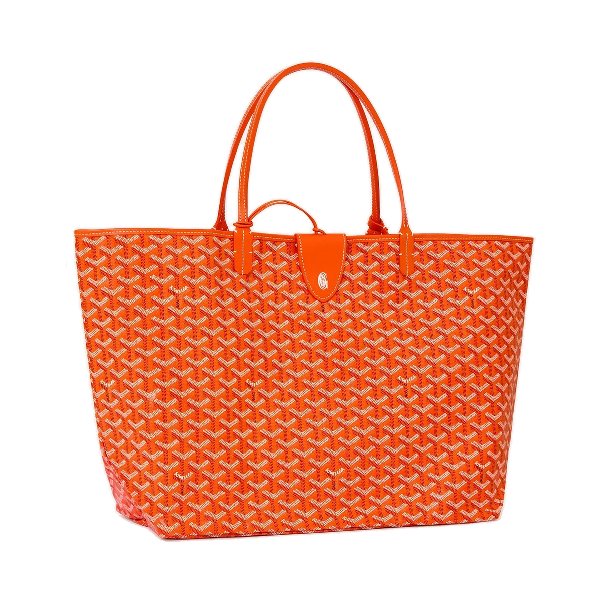 Saint Louis GM Bag