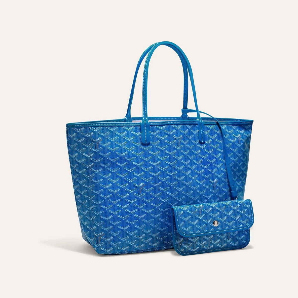Saint Louis PM Bag