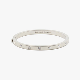 Set in Stone Hinged Silver Bangle