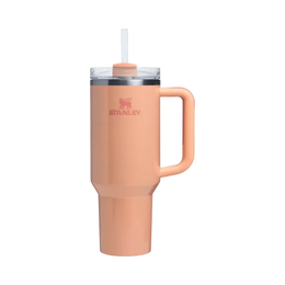 Stanley Tumbler Mug 40 Oz Bellini Shimmer