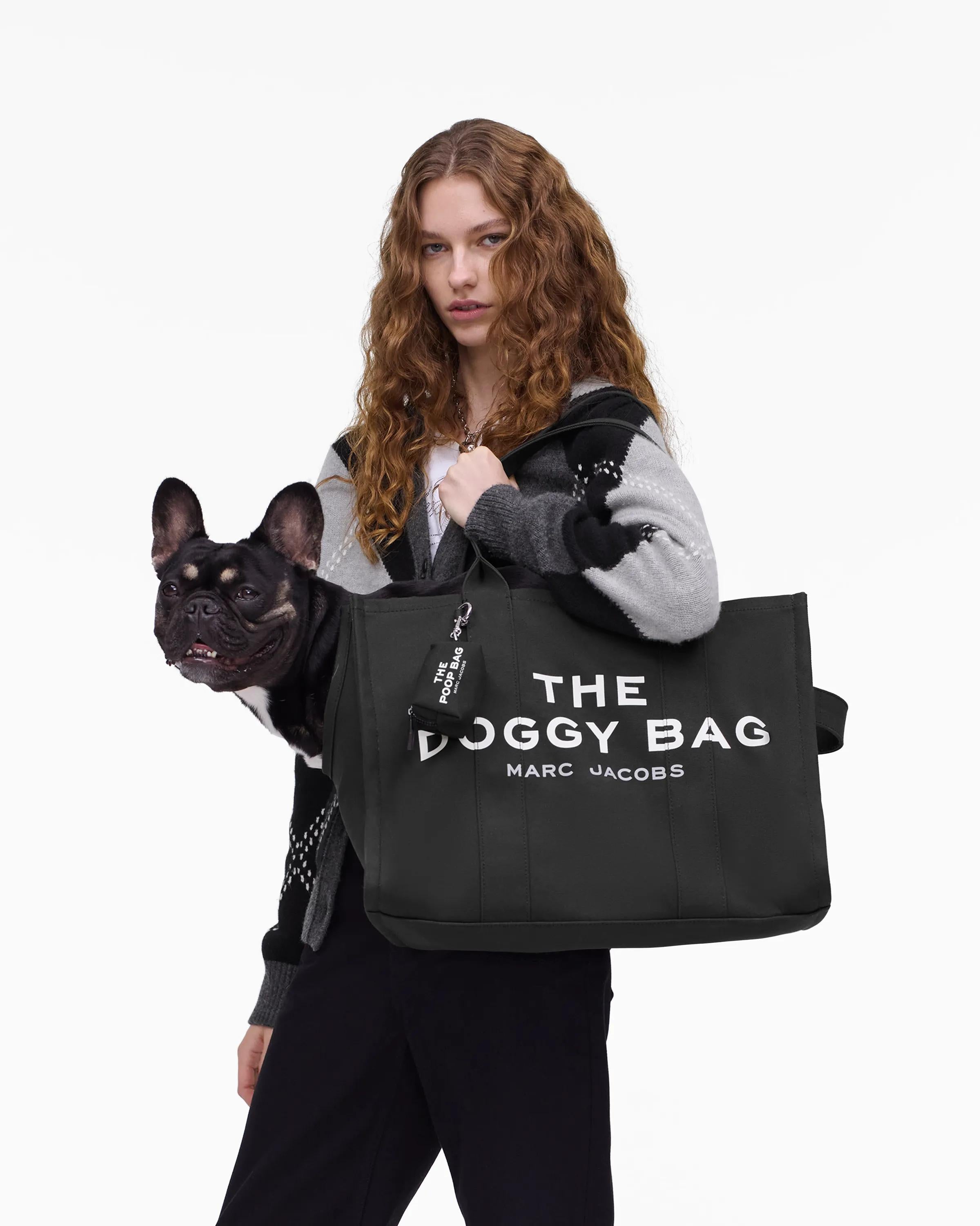 The Doggy Bag