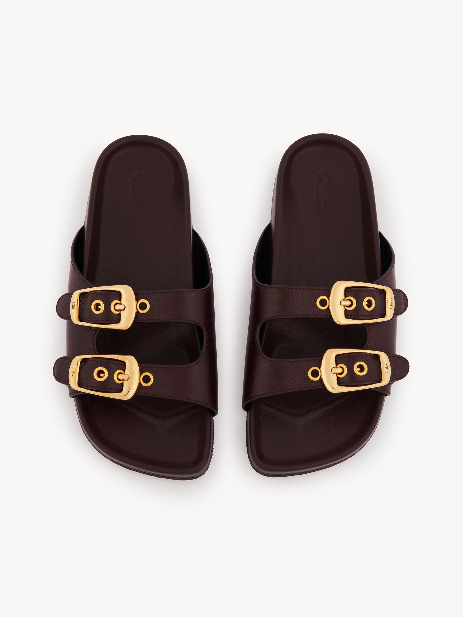 Polly slide