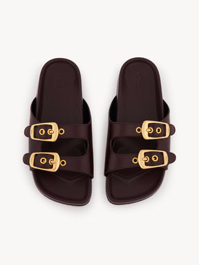 Polly slide