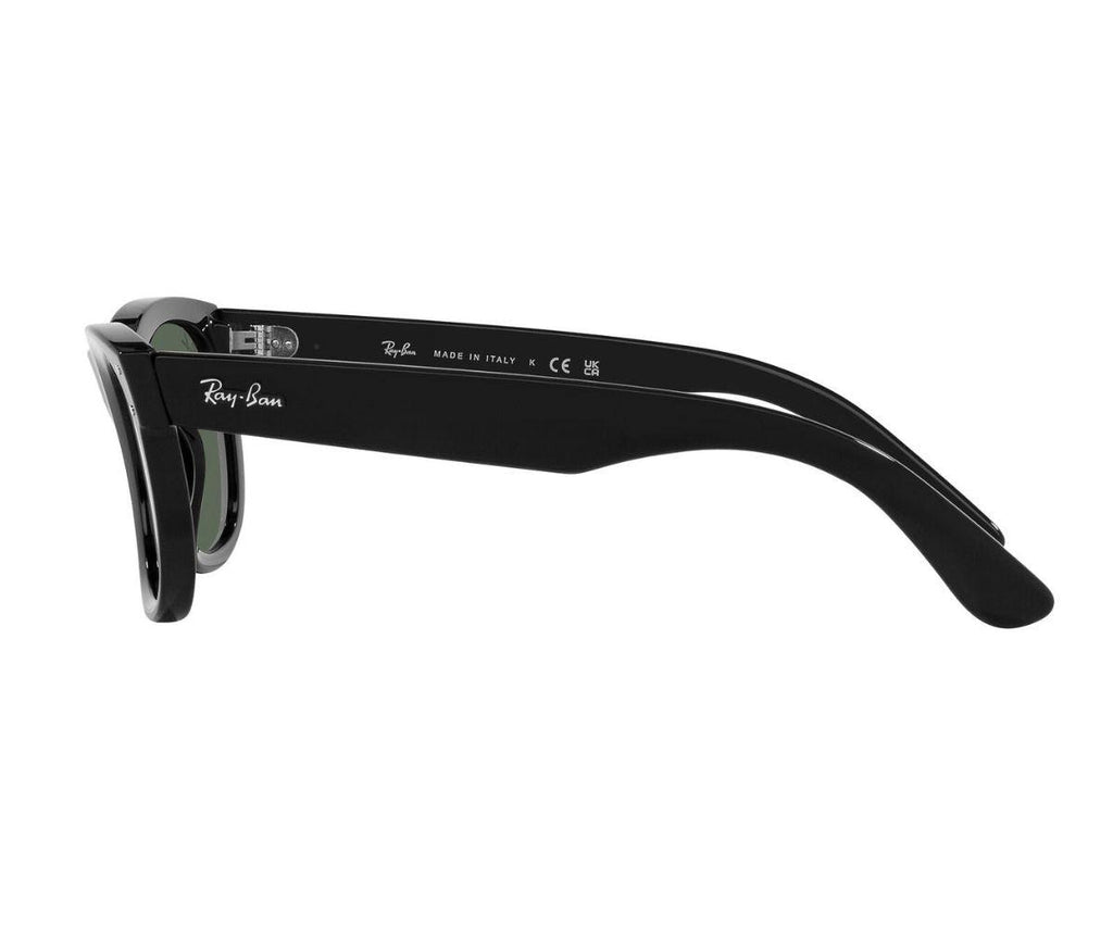 WAYFARER REVERSE R0502S 6677/VR 53