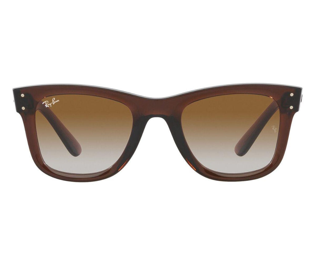 WAYFARER REVERSE R0502S 6709/CB 53