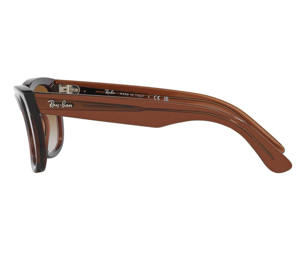 WAYFARER REVERSE R0502S 6709/CB 53