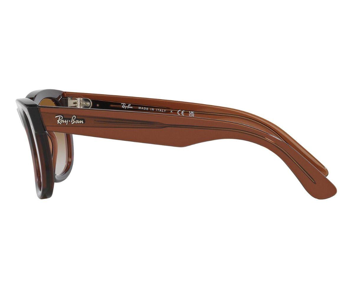 WAYFARER REVERSE R0502S 6709/CB 53