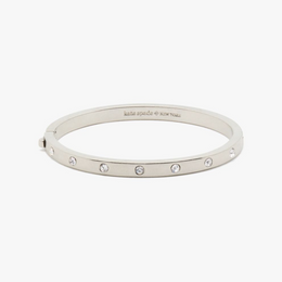 Set in Stone Hinged Silver Bangle