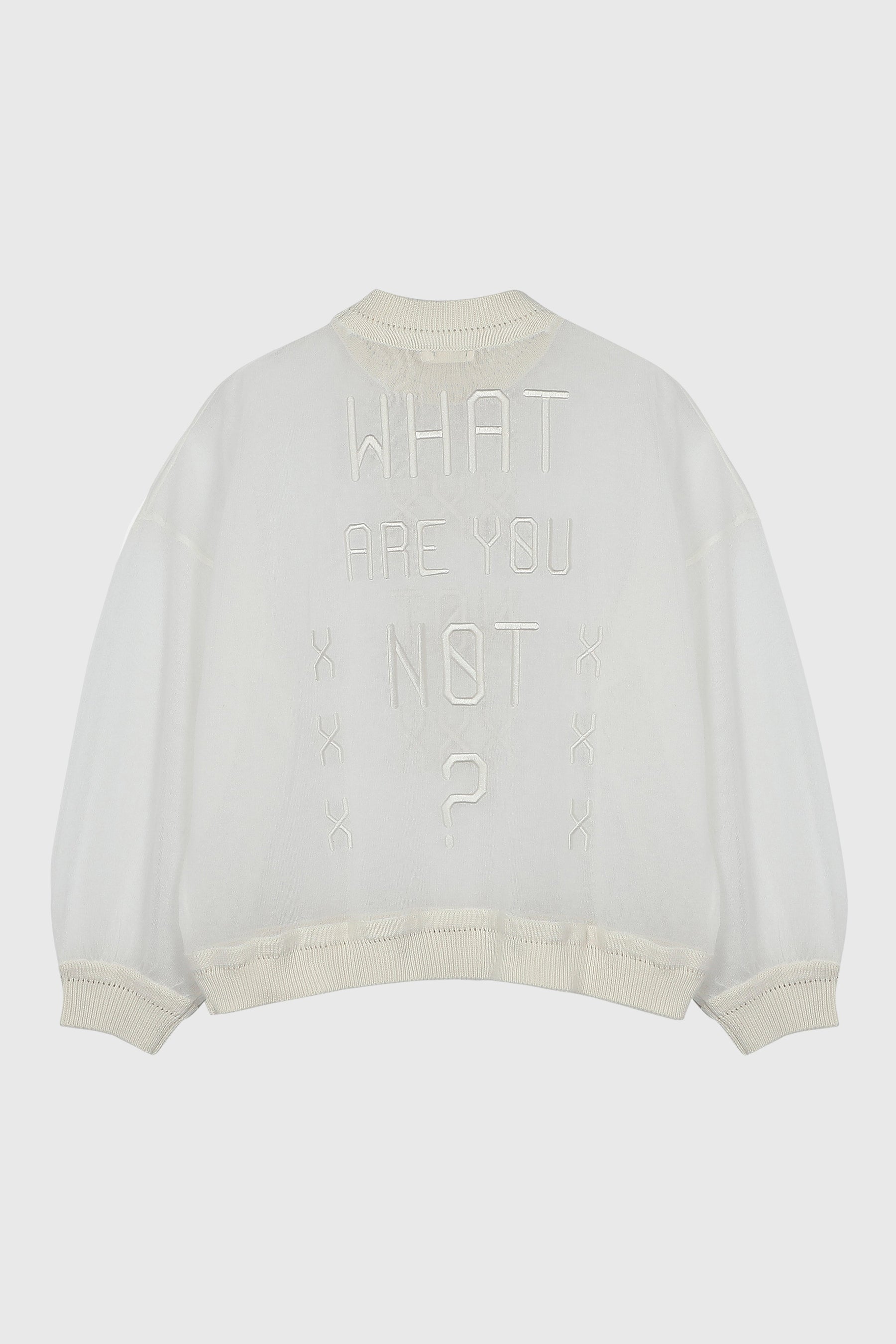 WHAT ARE YOU NOT SHEER KNIT PULLOVER