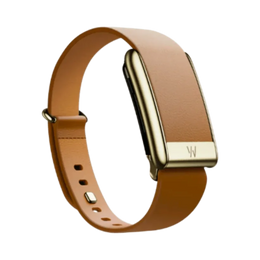 Whoop 5.0 Leatherluxe Tapered Camel with Gold Band (12 Month Peak Subscription Included)