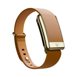 Whoop 5.0 Leatherluxe Tapered Camel with Gold Band (12 Month Peak Subscription Included)