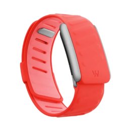 Whoop 5.0 Sportflex Bounce Band (12 Month Peak Subscription Included)