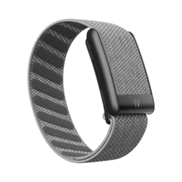 Whoop 5.0 Superknit Graphite Band (12 Month Peak Subscription Included)