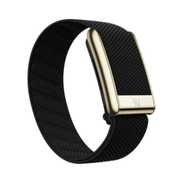 Whoop 5.0 Superknit Luxe Obsidian with Gold Band (12 Month Peak Subscription Included)