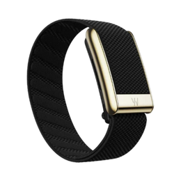 Whoop 5.0 Superknit Luxe Obsidian with Gold Band (12 Month Peak Subscription Included)