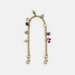 Chain Strap With Charms