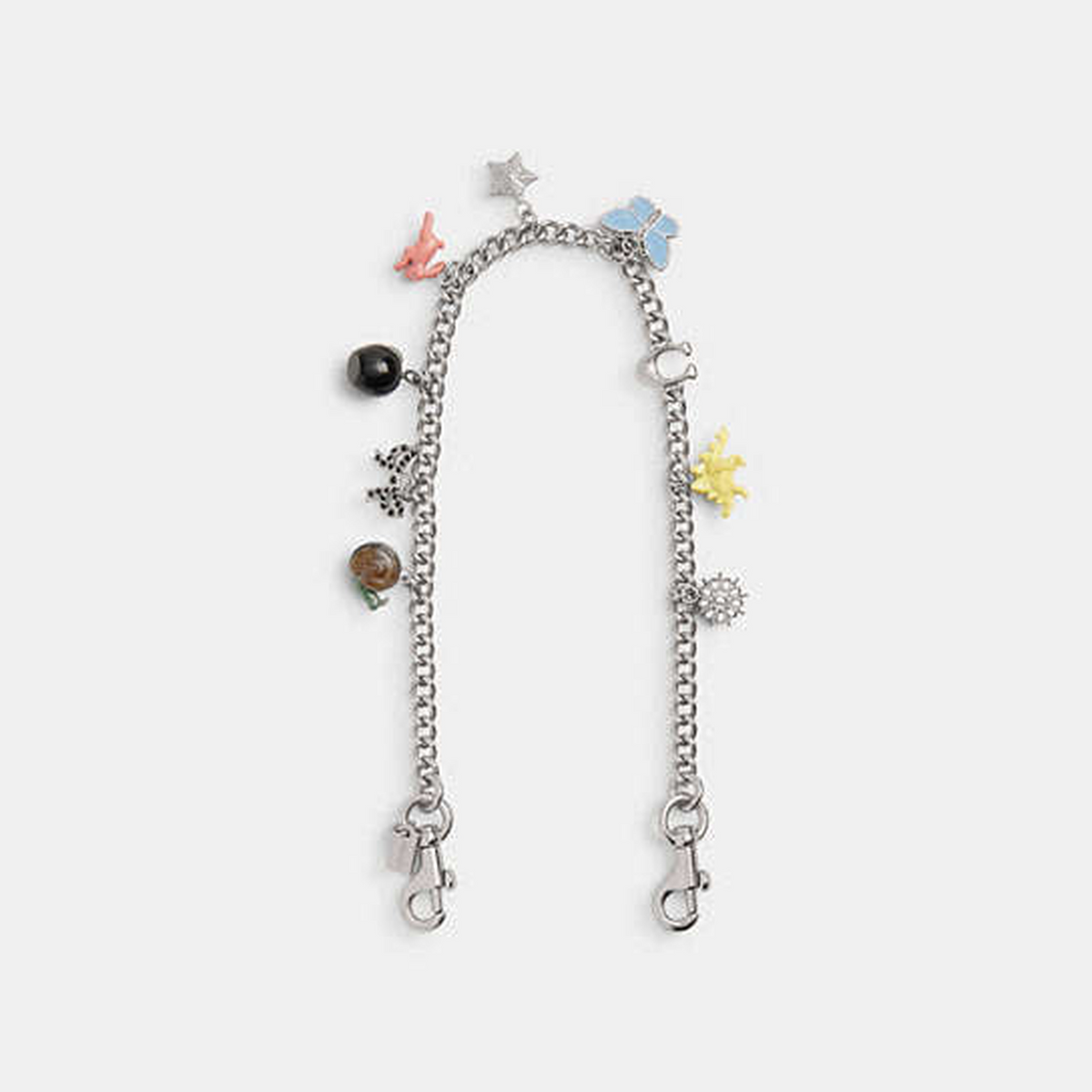 Chain Strap With Charms